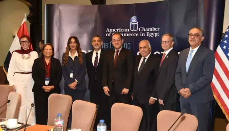 وزير المالية