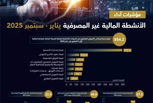الرقابة المالية