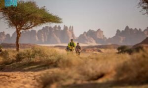 رفع إيقاف بيع العقارات في العلا: فتح أبواب الاستثمار والتنمية